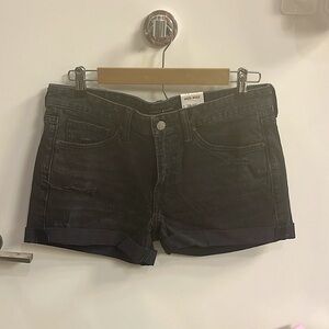 NWT Lucky Brand Denim Shorts